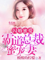 闪婚蜜爱：霸道总裁蜜宠妻